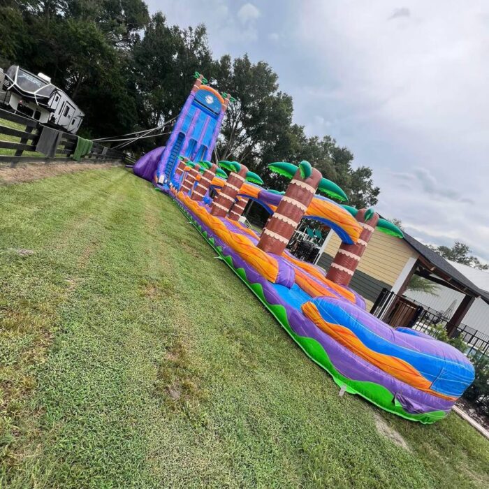 Tropical Paradise Dual-Lane Water Slide