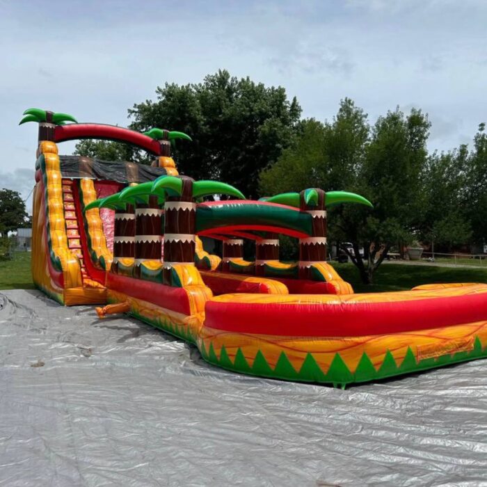 Tropical Fiesta Dual-Lane Water Slide