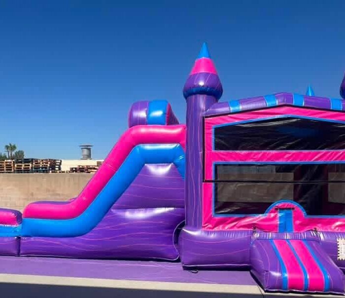 Pink & Purple Princess Water Slide Combo